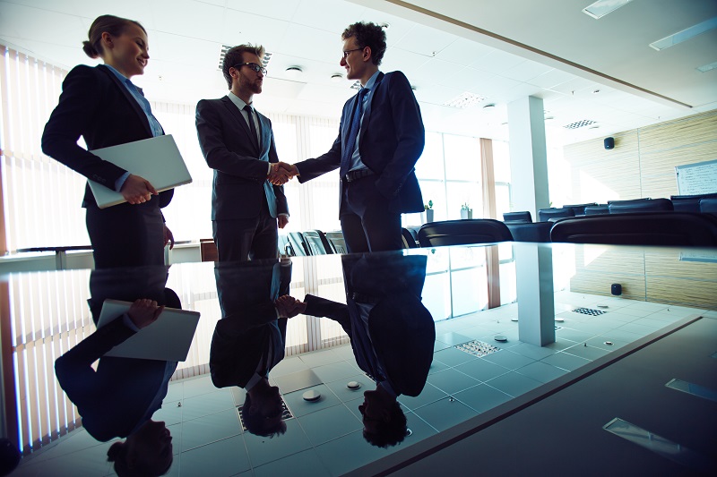 Tipo jurídico de empresa sem sócios: quais as opções?